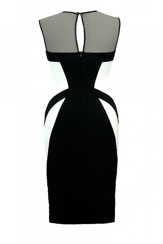 Jersa Fitted Cocktail Dress | Elegant Mesh Neckline Design Dress Jersa
